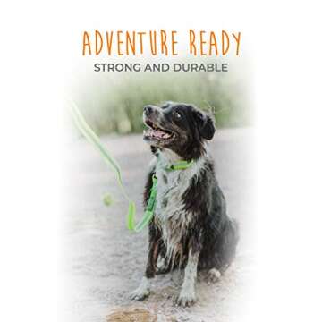 Mighty Paw Waterproof Dog Leash - Smell-Proof Pet Lead Against Dog Foot Smell - Ideal Nylon Reflective Leash for Swimming - Camping - Hiking - Reflective Safety Stripe - 6 Foot - Green
