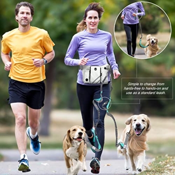 Hands Free Dog Leash Set for Dual Dogs in Black - Gray