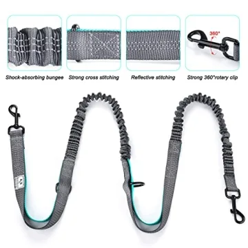 Hands Free Dog Leash Set for Dual Dogs in Black - Gray
