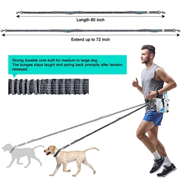 Hands Free Dog Leash Set for Dual Dogs in Black - Gray