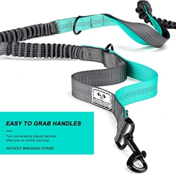 Hands Free Dog Leash Set for Dual Dogs in Black - Gray