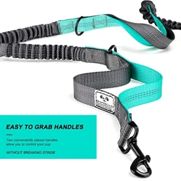 Hands Free Dog Leash Set for Dual Dogs in Black - Gray
