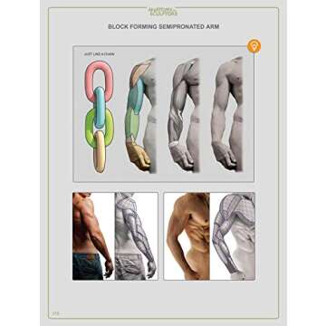 Anatomy For Sculptors, Understanding the Human Figure