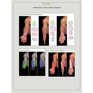 Anatomy For Sculptors, Understanding the Human Figure