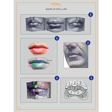 Anatomy For Sculptors, Understanding the Human Figure