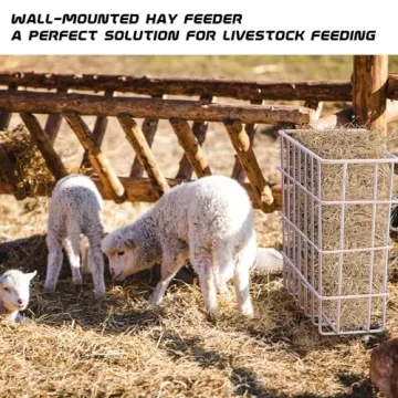 Heavy Duty Hay Feeder for Sheep and Horses
