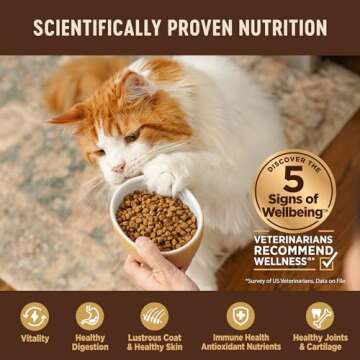 Wellness CORE High Protein Grain-Free Cat Food 11lb