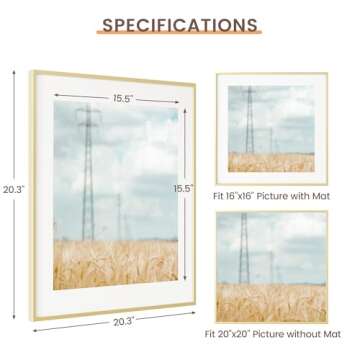 Fun Memories 20x20 Gold Frame - 20x20 Picture Frames Matted to 16x16- Square Photo Frame, Wall Hook Hanging Hardware Included- Gold, Set of 1