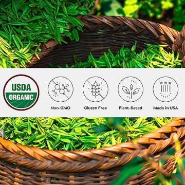 One Farm by WAAYB Organic Matcha Powder, 40 Servings, Single Estate Green Tea Powder, Non-GMO, Fair-...