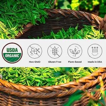 One Farm Organic Matcha Powder – Premium Green Tea for Health