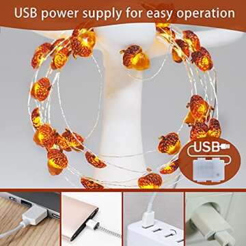 Impress Life Thanksgiving Decoration Acorn String Lights, 10ft Silver Wire 40 LED Battery Powered with Dimmable Remote Timer for Ice Age, Indoor,Wedding, Birthday Bedroom Fireplace Decorations