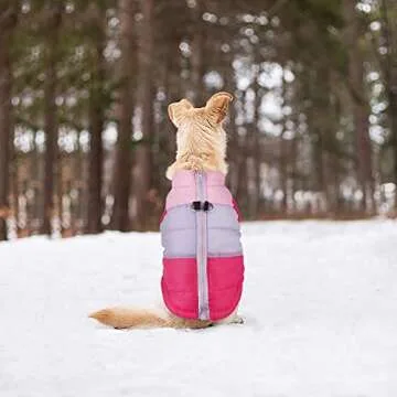 Stylish Pet Dog Cat Coat with Insulation - Ideal for Small Pets