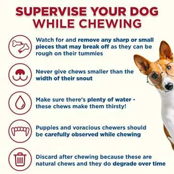 Best Bully Sticks Marrow Bones - 3 Count (Pack of 1) - USA Packed, Healthy Snack, Grass-Fed Beef, Long-Lasting, Great for Large Breeds