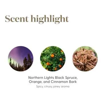 Young Living - Christmas Spirit 5 ml | Festive Essential Oil Blend for Diffusers | Aromatherapy for Holiday Cheer, Winter Memories, & Natural Air Freshening