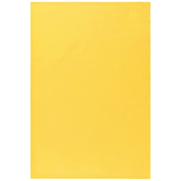 Vibrant Cotton Floursack Dish Towels Set - 3 Colors 20x30