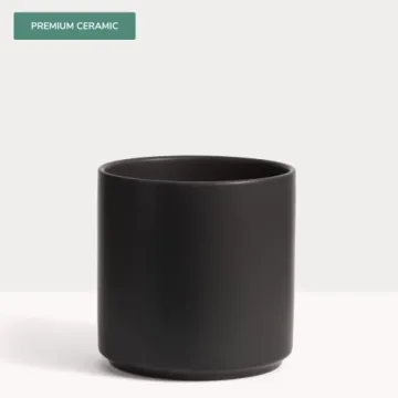 PEACH & PEBBLE Black Ceramic Planter for Indoor Plants
