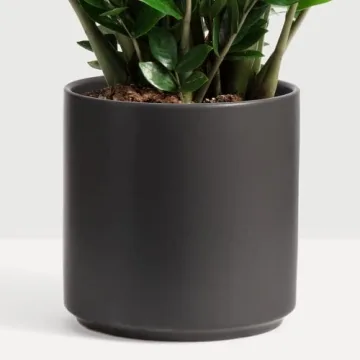 PEACH & PEBBLE Black Ceramic Planter for Indoor Plants