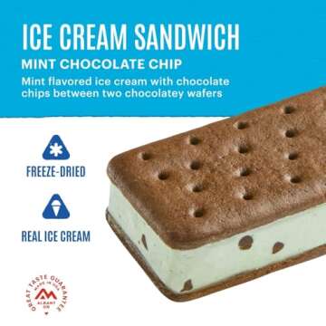 Mountain House Mint Chocolate Chip Ice Cream Sandwich | Freeze Dried Backpacking & Camping Food | 1 ...