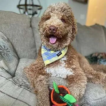 Gofshy Summer Dog Bandana for Large Dogs in Plaid