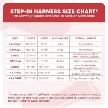 Downtown Pet Supply Step in Dog Harness for Small Dogs - No Pull Design, Adjustable Fit, Reflective ...