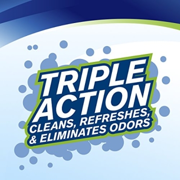 Woolite Carpet Cleaner Stain Remover - 4 Pack for Tough Stains