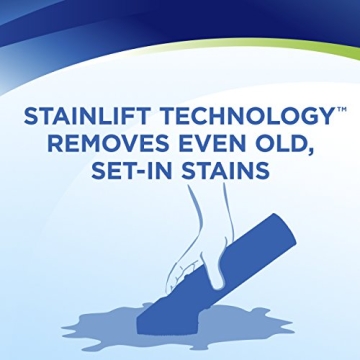 Woolite Carpet Cleaner Stain Remover - 4 Pack for Tough Stains