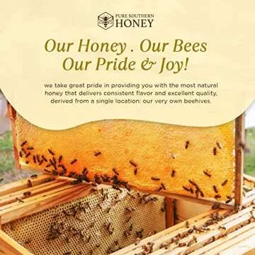 1 lb. 100% Raw & Unfiltered Gallberry Honey with Comb - American Made by Pure Southern Honey