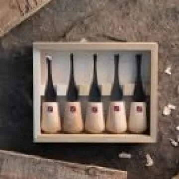 Flexcut Carving Tools Beginners Palm Set FR310 | Set of 5 Palm Tools | Ash Hardwood Handles | Razor-Sharp 1095 High Carbon Steel Blades | Sturdy Storage Box Included | Made in the U.S.A.