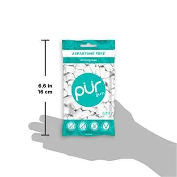 Pur Gum Wintergreen Mint, 2.72-Ounce Pack