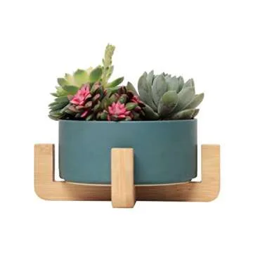 Stylish SAROSORA Ceramic Succulent Planter with Bamboo Tray