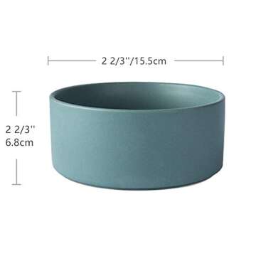 Stylish SAROSORA Ceramic Succulent Planter with Bamboo Tray