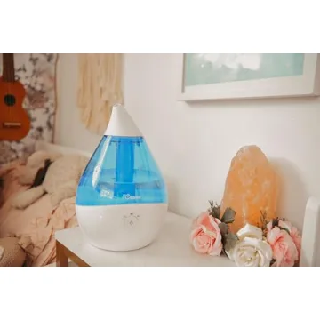 Crane Droplet Ultrasonic Humidifier for Home