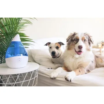 Crane Droplet Ultrasonic Humidifier for Home