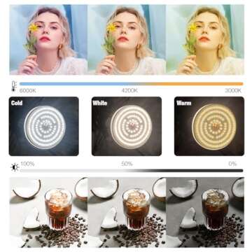 BEIYANG Softbox Lighting Kit, 2x20''x28'' Photography Soft Box with 2 pcs 85W 6000K E27 LED Socket L...