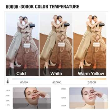 BEIYANG Softbox Lighting Kit with 85W LED Bulbs