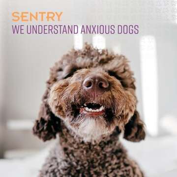 SENTRY PET Care Sentry Calming Collar for Dogs, Anxiety Reducing Pheromone Collar, Releases Pheromones for 30 Days, Helps Calm During Loud Noises and Separation, 1 Count, Purple