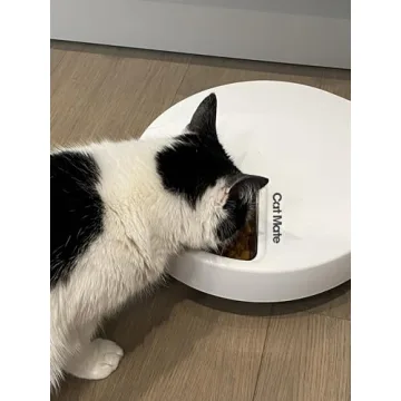 Cat Mate C500 - Smart Feeder for Cats & Small Dogs