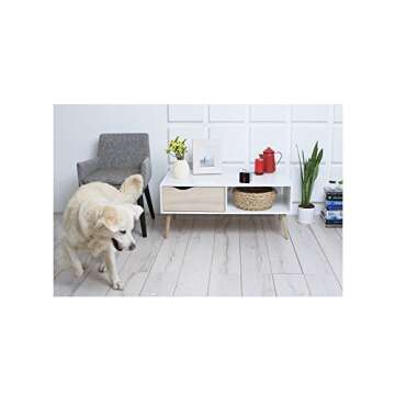 Petcube [2017 Item] Play Smart Pet Camera with Interactive Laser Toy. Remote Dog/Cat Monitoring with...