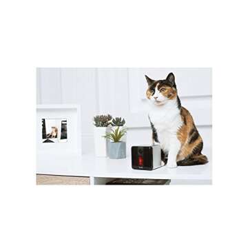 Petcube [2017 Item] Play Smart Pet Camera with Interactive Laser Toy. Remote Dog/Cat Monitoring with HD 1080p Video, Two-Way Audio, Night Vision, Sound/Motion Alerts. App-Enabled Pet and Home Safety