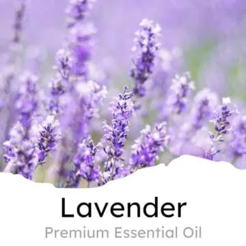 Air Jungles Lavender Scent Car Air Freshener Clip - Lasting Freshness for 180 Days