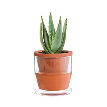 D'vine Dev 4 Inch Design Self-Watering Pot Set (3)