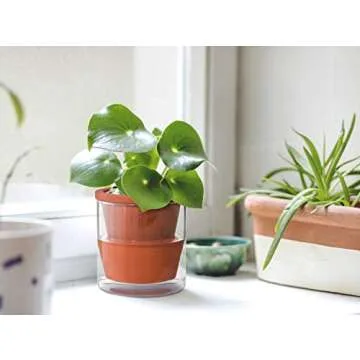 D'vine Dev 4 Inch Indoor Self-Watering Terracotta Pot Set