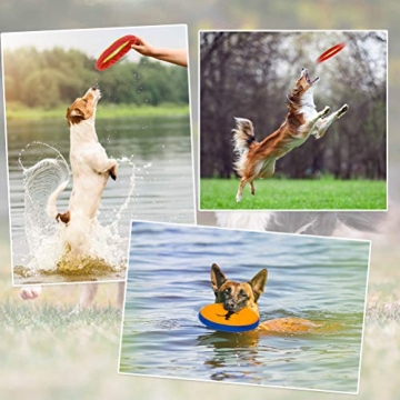 KOOLTAIL Dog Flying Disc Toys for Fetch and Fun