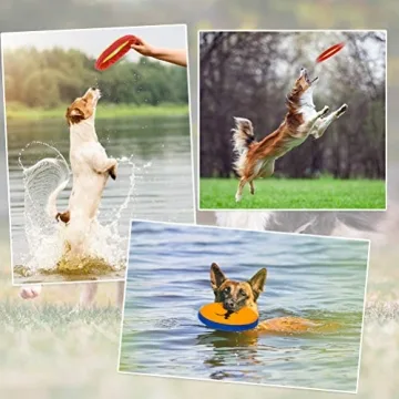 KOOLTAIL Dog Flying Disc Toys for Fetch and Fun