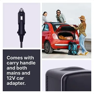 Portable Mini Fridge 4L Cooler and Warmer - Black