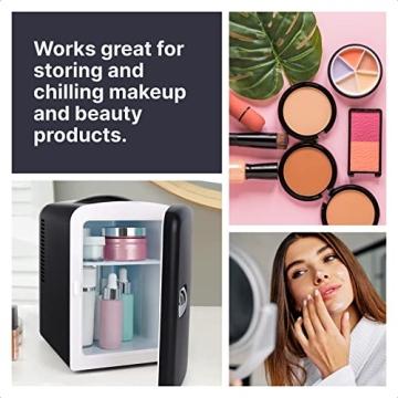 Portable Mini Fridge 4L Cooler and Warmer - Black
