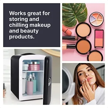 Portable Mini Fridge 4L Cooler and Warmer - Black