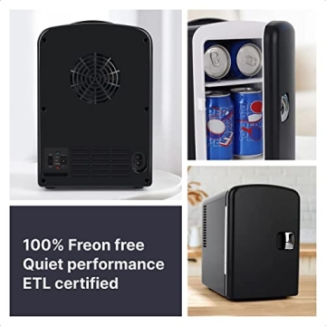 Portable Mini Fridge 4L Cooler and Warmer - Black