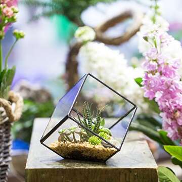 NCYP Small 3.93 Inches Geometric Glass Terrarium Box, Inclined Cube Clear Decorative Planter, Tablet...