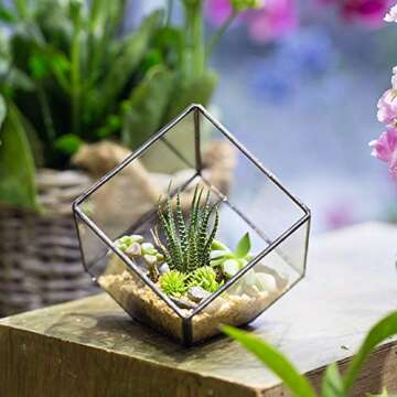 NCYP Small 3.93 Inches Geometric Glass Terrarium Box, Inclined Cube Clear Decorative Planter, Tabletop Air Plant Holder, Succulent Display Flower Pot, Black Centerpiece (No Plants, No Lid)